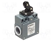 Limit switch; plastic roller Ø14mm; NO + NC; 10A; max.500VAC PIZZATO ELETTRICA