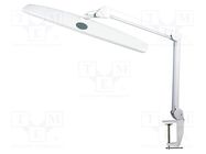 Lamp: bench; 6000-7000K; 1100lm; 21W; 230VAC; Plug: EU; white NEWBRAND