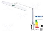 Lamp: bench; 6000-7000K; 1100lm; 21W; 230VAC; white; Arm len: 900mm NEWBRAND