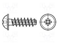 Screw; for plastic; 2.5x10; Head: button; Pozidriv; PZ2; zinc BOSSARD