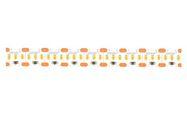 LED strip 12V 21W/m 1700lm/m 2700K IP20 warm white SMD2216 300LED/m LED line