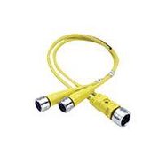 SENSOR CORD, M12 PLUG-2X RCPT, 3.3FT