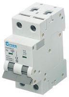 CIRCUIT BREAKER, 2 POLE, 6A, 230VAC