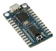 DEV BOARD, AVR MICROCONTROLLER