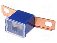 Fuse: fuse; 100A; automotive; JAPVAL; male; 48.6mm MTA