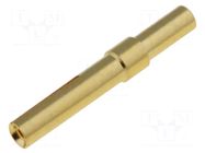 Contact; female; gold-plated; 0.25÷0.52mm2; 24AWG÷20AWG; crimped HARTING