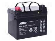 Re-battery: acid-lead; 12V; 36Ah; AGM; maintenance-free; 10.2kg 