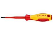 PHILLIPS SCREWDRIVER, 100MM, #2