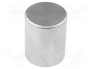 Magnet: permanent; neodymium; H: 20mm; 24N; Ø: 10mm; steel ELESA+GANTER