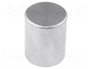 Magnet: permanent; neodymium; 24N; Ø: 10mm; H: 20mm; steel ELESA+GANTER