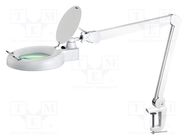 Desk magnifier; with backlight; 5dpt(x2.25); Ø127mm; Ø5"; 9W; 3kg NEWBRAND