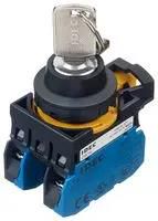 KEYLOCK SW, DPST-NO, 2 POS, 10A, 300VAC