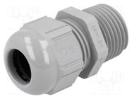 Cable gland; NPT1/2"; IP68; polyamide; grey 