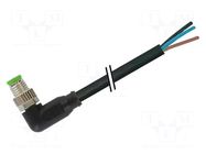 Cable: for sensors/automation; M8; PIN: 4; straight; 3m; plug; 30VAC MURR ELEKTRONIK