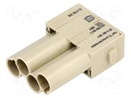 Connector: HDC; module; male; 40A; 830V; Han-Modular®; PIN: 4; Han® C HARTING