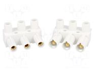 Connector: pluggable terminal block; screw terminal; 10A; 500V ENCITECH
