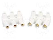 Connector: pluggable terminal block; screw terminal; 10A; 500V ENCITECH