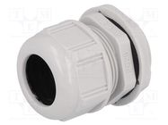 Cable gland; PG29; IP68; polyamide; light grey; UL94V-2; GWconnect 