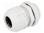 Cable gland; PG21; IP68; polyamide; light grey; UL94V-2; GWconnect 