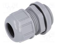 Cable gland; PG21; IP68; polyamide; dark grey; UL94V-2; GWconnect 