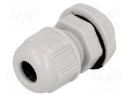 Cable gland; PG9; IP68; polyamide; light grey; UL94V-2; GWconnect MOLEX