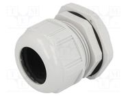 Cable gland; M50; 1.5; IP68; polyamide; light grey; UL94V-2 