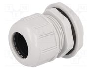 Cable gland; M32; 1.5; IP68; polyamide; light grey; UL94V-2 