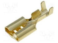 Terminal: flat; 6.3mm; 1÷2.5mm2; gold-plated; female 4CARMEDIA