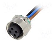Connector: 7/8"; socket; 0.5m; female; PIN: 4; straight; with leads HARTING