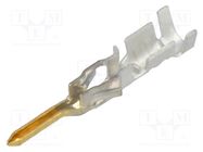 Contact; male; gold-plated; 0.25÷0.5mm2; 24AWG÷20AWG; bulk; 5A; 3mm MOLEX