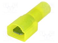 Terminal: flat; 6.35mm; 0.8mm; male; 3.3÷5mm2; crimped; insulated 