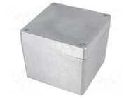 Enclosure: multipurpose; X: 120.5mm; Y: 120.5mm; Z: 101.5mm; natural GAINTA