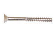 SCREW, SS, 100PK, ENCLOSURE