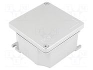 Enclosure: multipurpose; X: 101mm; Y: 101mm; Z: 58mm; S-8000; IP66 MOLEX