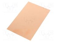 Laminate; FR4,epoxy resin; 0.8mm; L: 160mm; W: 100mm 