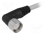 Connection lead; M23; PIN: 19; angled; 5m; plug; 125VAC; 7.5A; 7000 MURR ELEKTRONIK