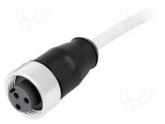 Connector: 7/8"; plug; 1.5m; female; PIN: 3; straight; with lead; PVC HARTING