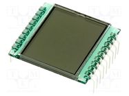 Display: LCD; 7-segment; STN Positive; No.of dig: 2; 28x30.5x1.1mm DISPLAY ELEKTRONIK