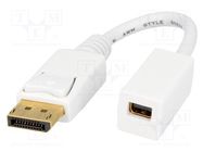 Adapter; DisplayPort plug,mini DisplayPort socket; white LOGILINK