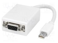 Converter; DisplayPort 1.1a; white LOGILINK