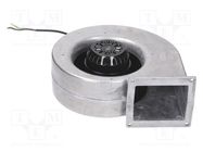 Fan: AC; blower; 230VAC; 261x125x283mm; 400m3/h; ball; 2705rpm; IP44 EBM-PAPST