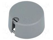 Knob; with pointer; plastic; Øshaft: 6.35mm; Ø31x16mm; grey; A10 OKW