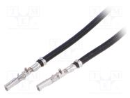 Cable; Micro-Fit 3.0 female; Len: 0.3m; 20AWG; Contacts ph: 3mm MOLEX