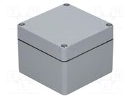 Enclosure: multipurpose; X: 120mm; Y: 122mm; Z: 91mm; polyester; grey RAYCHEM RPG