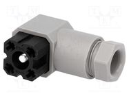 Connector: rectangular; G; plug; female; PIN: 4; tinned; IP65; grey HIRSCHMANN