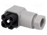 Connector: rectangular; plug; female; PIN: 4; tinned; IP65; 50V; grey HIRSCHMANN