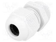 Cable gland; PG11; IP68; polyamide; grey FIBOX