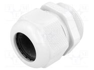 Cable gland; PG29; IP68; polyamide; grey FIBOX