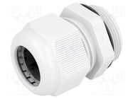 Cable gland; M32; 1.5; IP68; polyamide; grey FIBOX