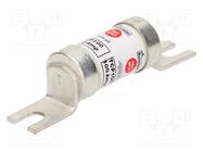 Fuse: fuse; 100A; 690VAC; 460VDC; ceramic,industrial; 26x111mm BUSSMANN